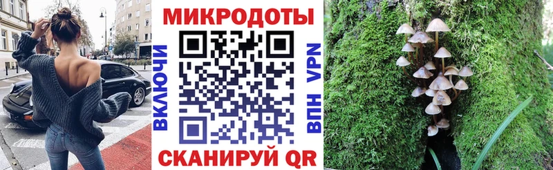купить Мценск Псилоцибиновые грибы Psilocybe